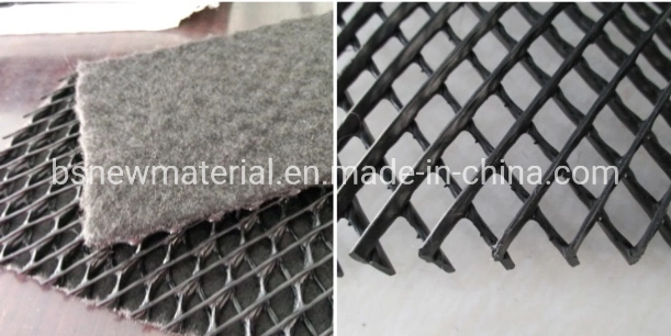 HDPE Drainage Net Geonet Tri-Planer for Landfill/Retaining Wall/Subgrade/Railway/Road Drainage