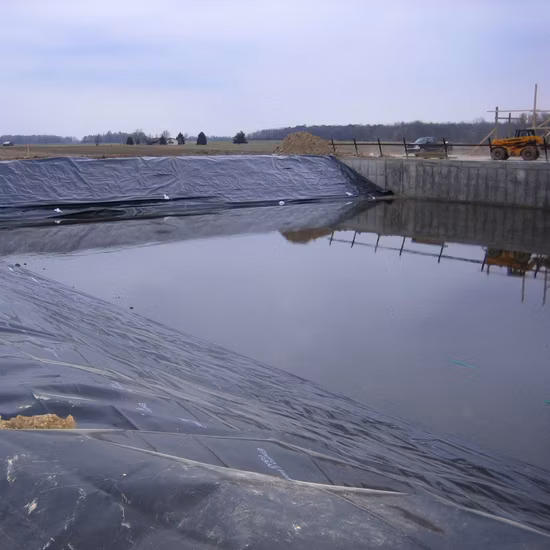 양식업/양식장/새우/연못/댐/매립/광업/소금/꼬리 라이너용 맞춤형 HDPE/LDPE/PE/EV/ECB/PVC 질감/복합 지오멤브레인 제조업체