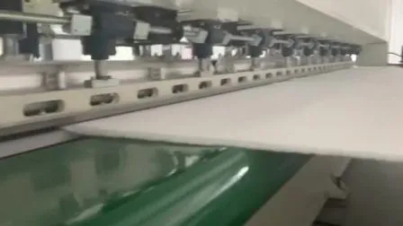 600 GSM 토목섬유 애완동물 모래주머니 Geobag
